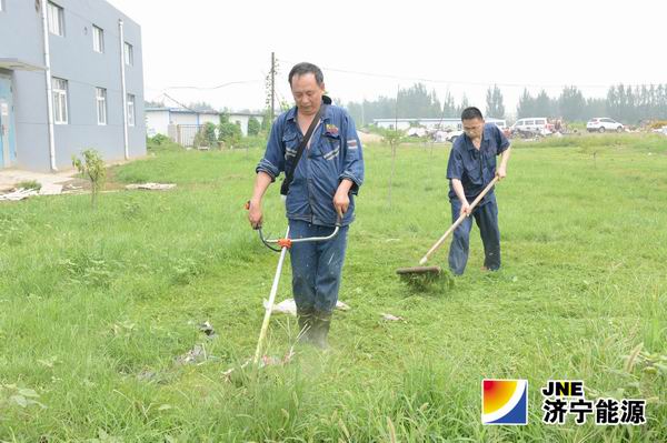 安居煤矿开展清除杂草义务劳动