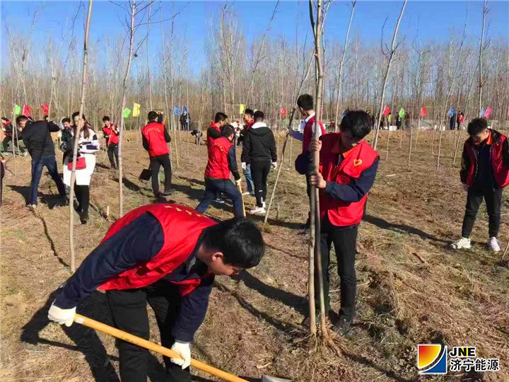 2019年3月12日，安居煤矿团委开展“青春绿色行·共创文明城”义务植树活动（陈继德摄）2.jpg
