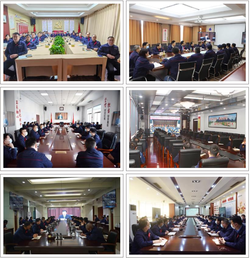 1617792494988535.jpg 1617792494988535.jpg