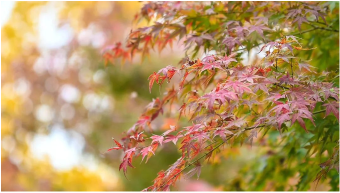 1667702088557629.png 微信截图_20221106103045.png