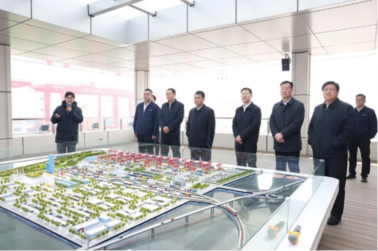 薛城区委主要负责同志到龙拱港调研