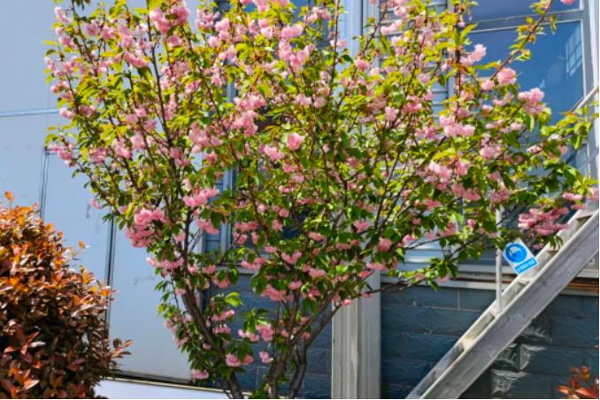 1681087534321275.jpg 微信截图_20230410084429.jpg