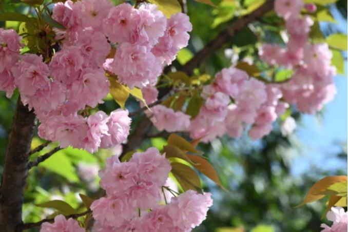 1681180402202780.jpg 微信截图_20230411103158.jpg