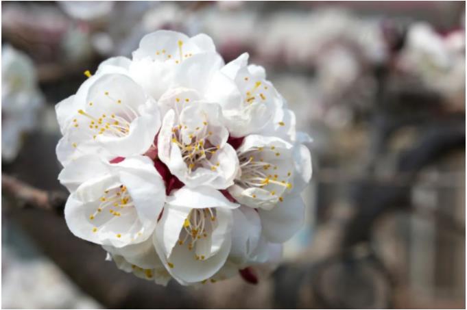 1681520842461079.jpg 微信截图_20230415090549.jpg