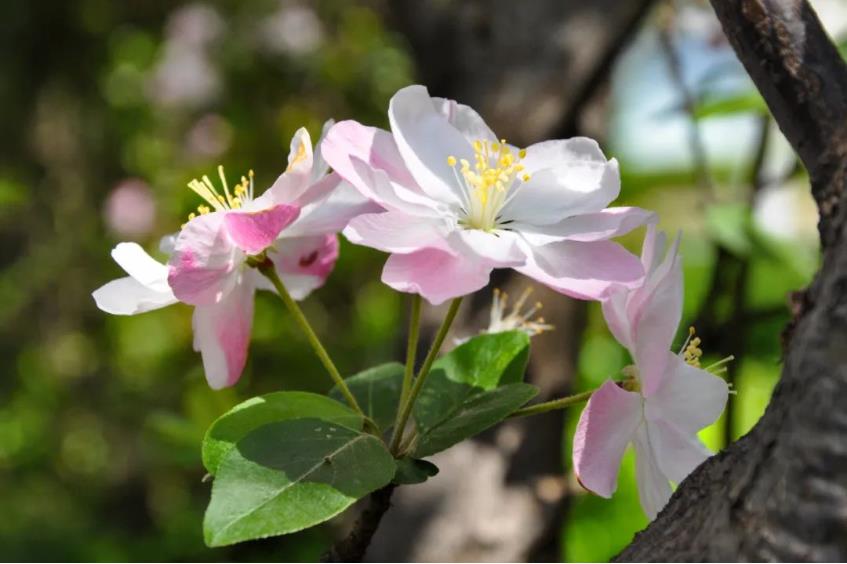 1681613302914477.jpg 微信截图_20230416104222.jpg