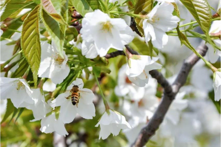 1681613349403884.jpg 微信截图_20230416104348.jpg