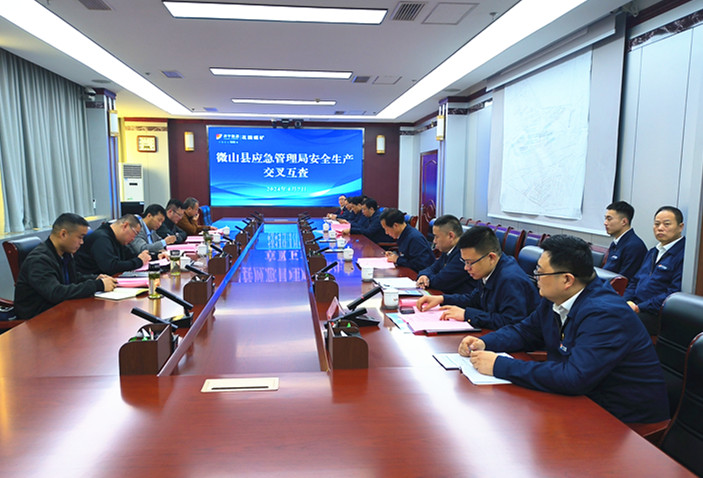 1712621032575894.jpg 4月7日,微山应急局来矿检查.jpg