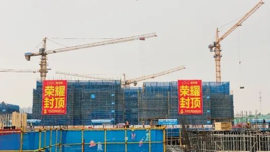 1715138115342532.jpg 003.jpg