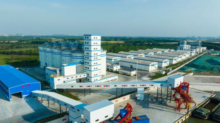 腾仓并库6万余吨仓容，济州港区粮食产业园迎接夏粮“颗粒归仓”