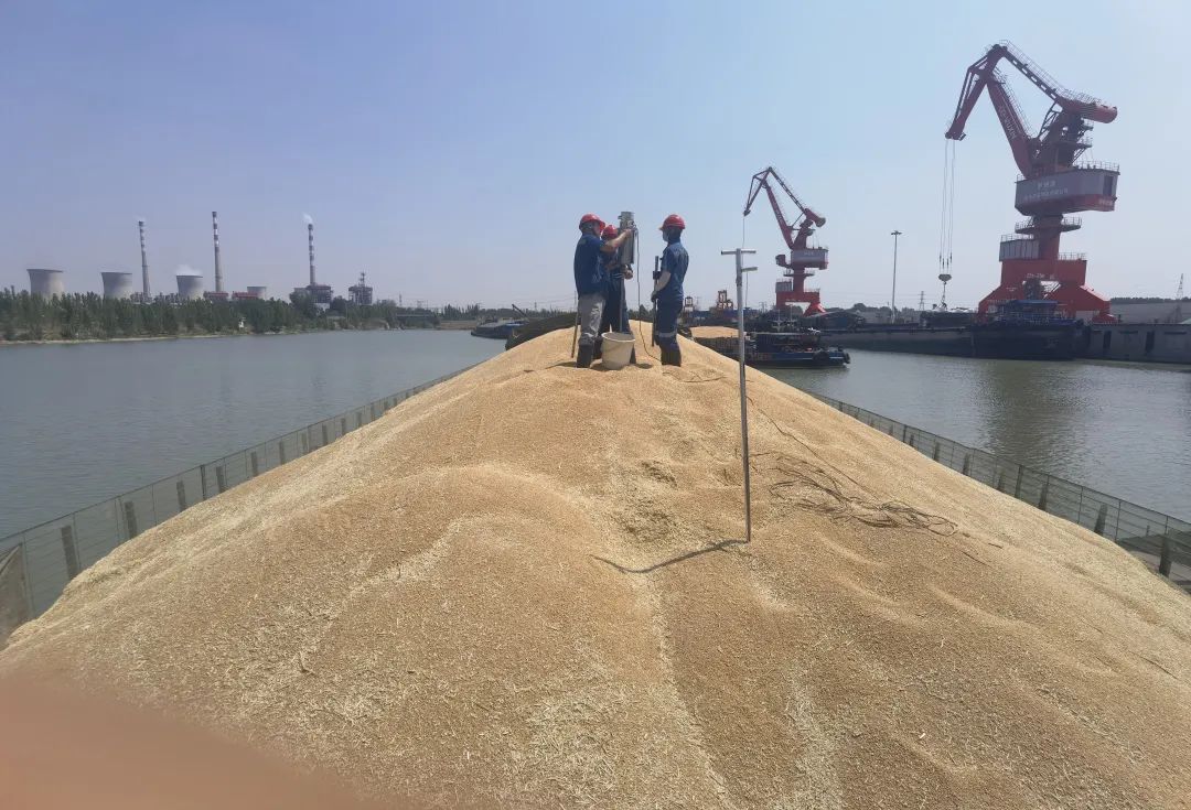 1720408679115329.jpg 00006.jpg