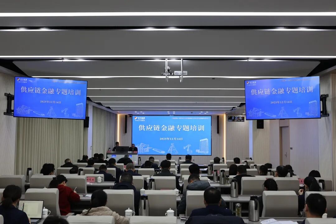 1765766526884303.jpg 01.jpg