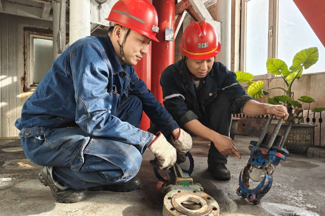 1766632868933230.jpg 2.jpg